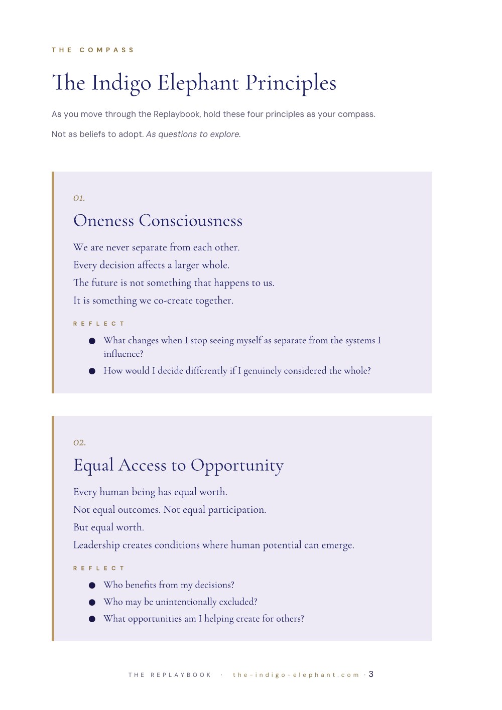 Preview of the Indigo Elephant Principles