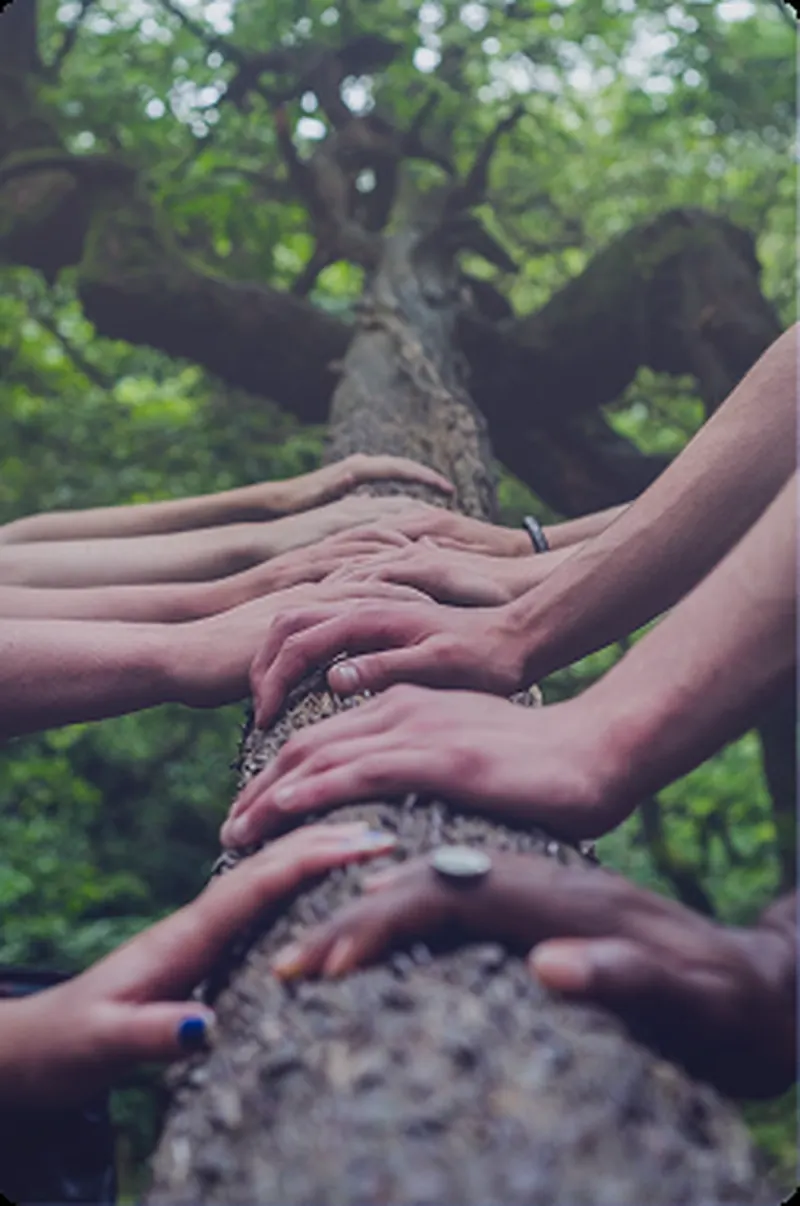 Board Advisory — hands joined in the boardroom