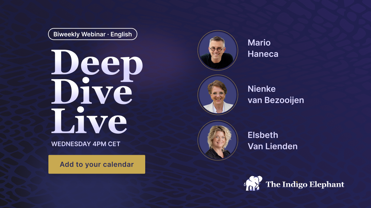 Deep Dive Live — Biweekly Webinar with Mario Haneca, Nienke van Bezooijen and Elsbeth Van Lienden