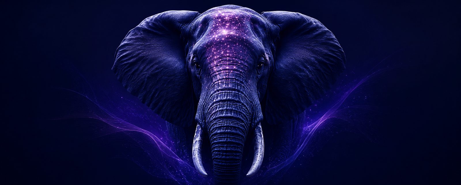 The Indigo Elephant Summit — 17 September 2026
