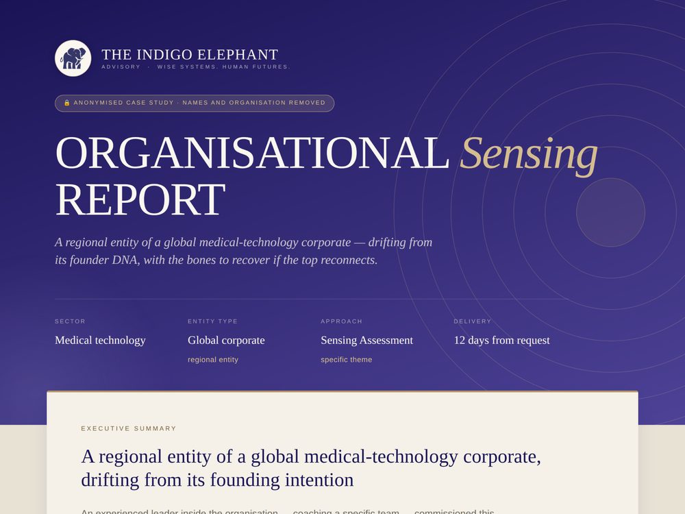 Organisational Sensing Report — anonymised case study cover